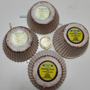 MİNERAL BLOK (KİLLİ) BeautifulFood Kuş Maması